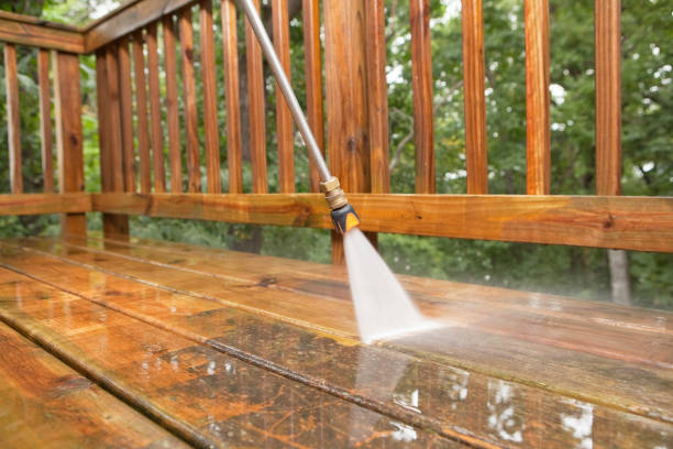Best Pressure Washing Near Me  in Todd Creek, CO