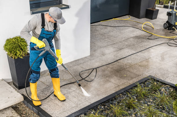 Best Exterior Home Cleaning  in Todd Creek, CO