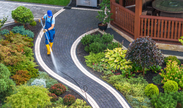 Best Roof Power Washing Services  in Todd Creek, CO